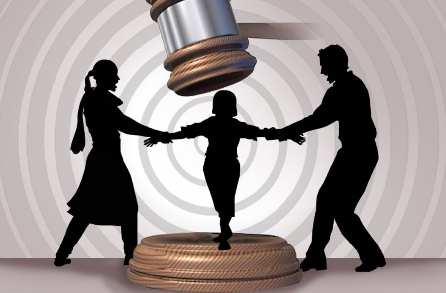 Custody War